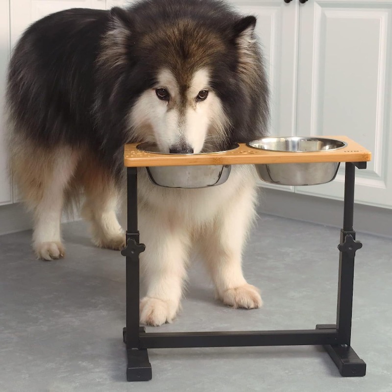 Pet Supplies Pet Shop - وعاء طعام خشبي مرتفع للكلاب مع