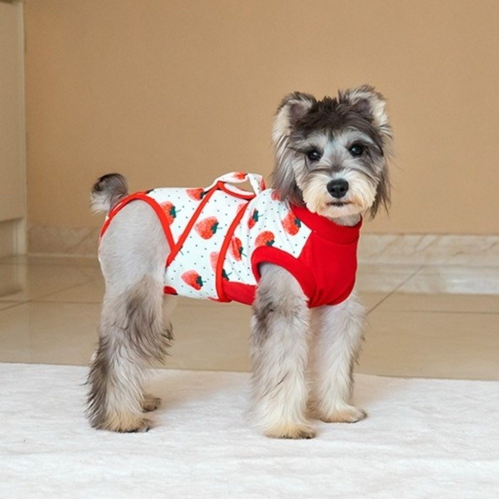 Dog Anxiety Vest - بدلة تعافي للكلاب قابلة للتنفس، عالية