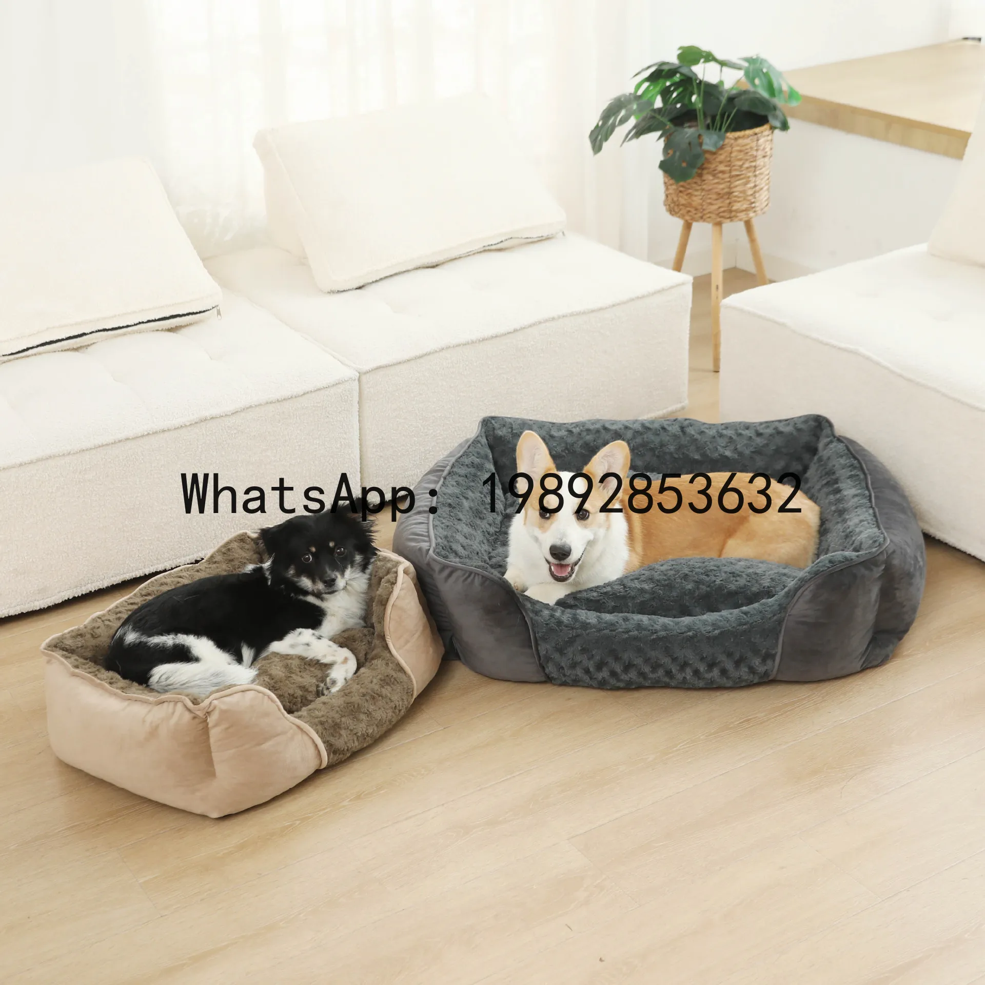 Pet X Supplies & Tack Reviews - بيت للقطط شبه مغلق، حظيرة للكلاب