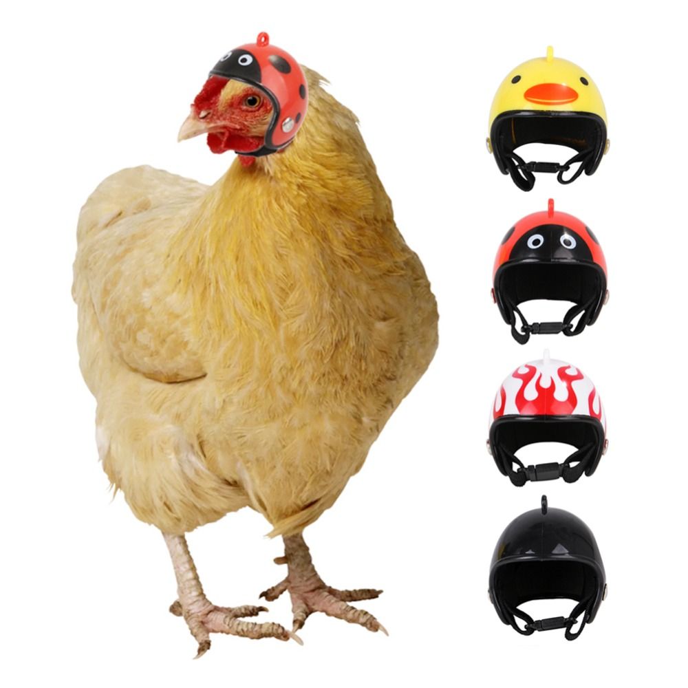 Pet X Supplies & Tack Reviews - لوازم الحيوانات الأليفة من ABS، غطاء