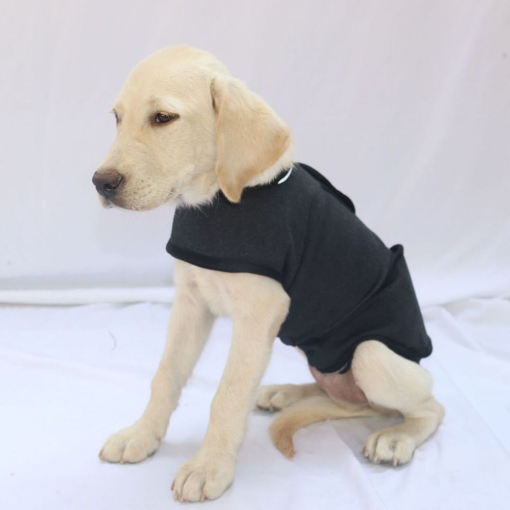 Dog Anxiety Vest - الحيوانات الأليفة سترة دافئة تنفس الكلب