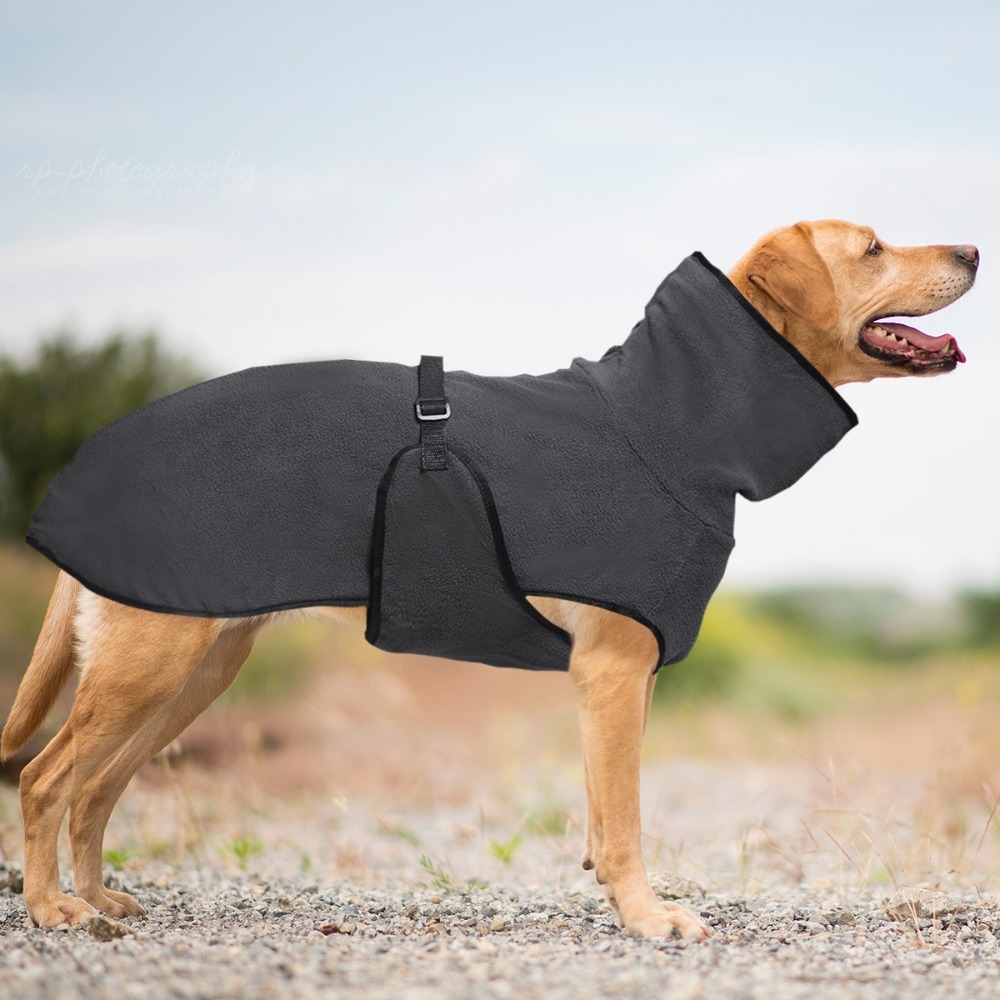 بلون الشتاء الدافئ الكلب الملا - مراجعة Dog Anxiety Vest وسعره