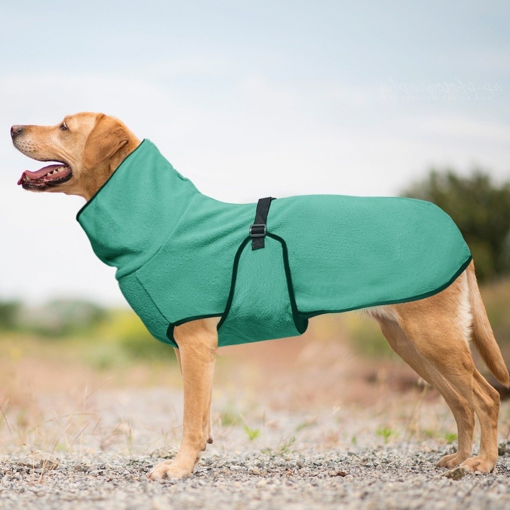 بلون الشتاء الدافئ الكلب الملا - مراجعة Dog Anxiety Vest وسعره