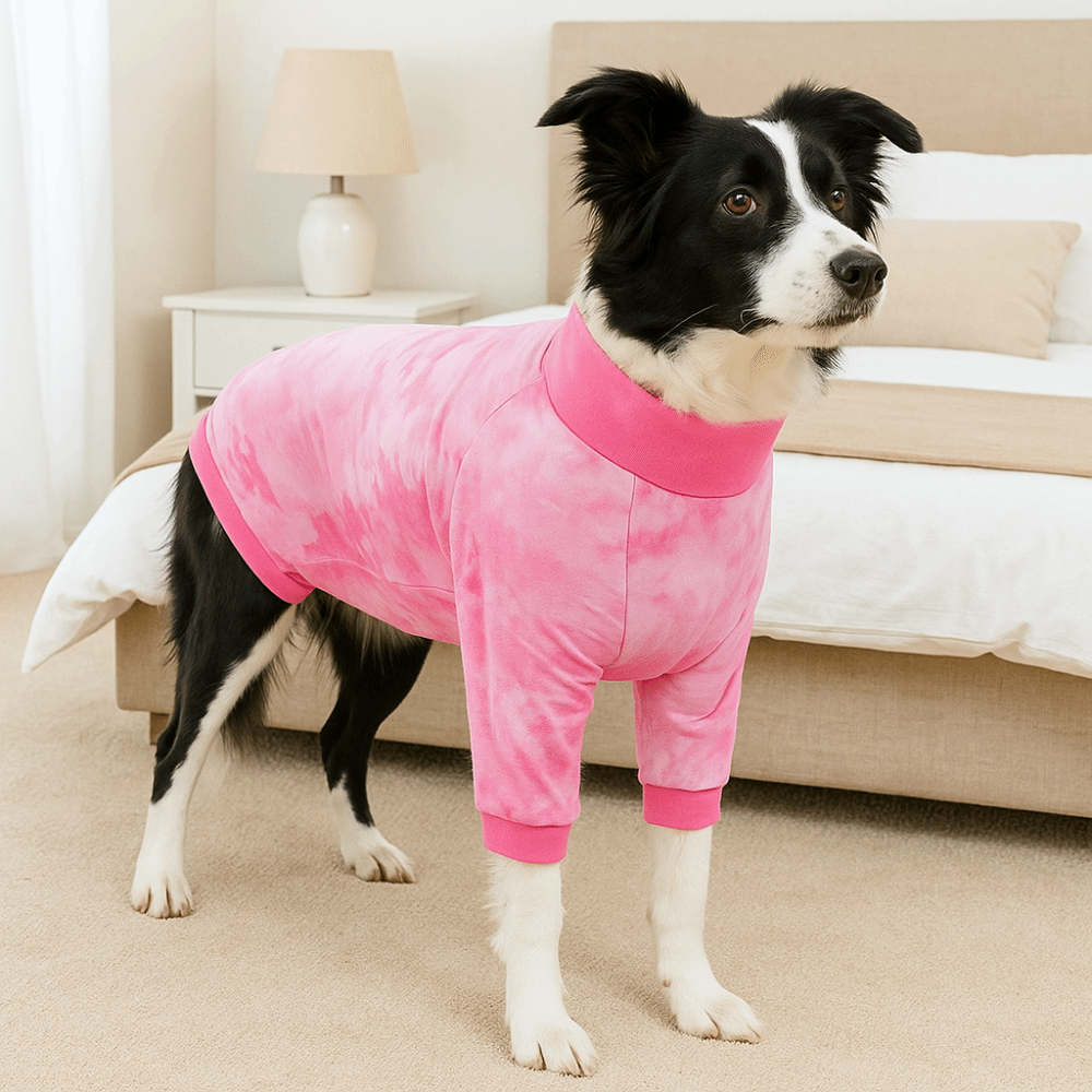 بيجامة الكلب المرنة بدلة استعا - مراجعة Dog Anxiety Vest وسعره