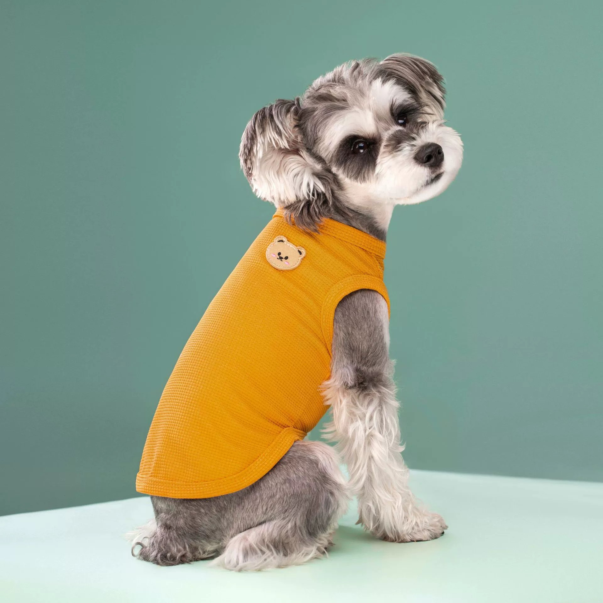 ملابس للحيوانات الأليفة للربيع - مراجعة Dog Anxiety Vest وسعره