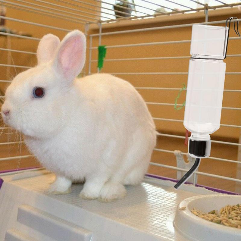 350 مللي الفولاذ المقاوم للصدأ - مراجعة Pet Supplies Is Food وسعره
