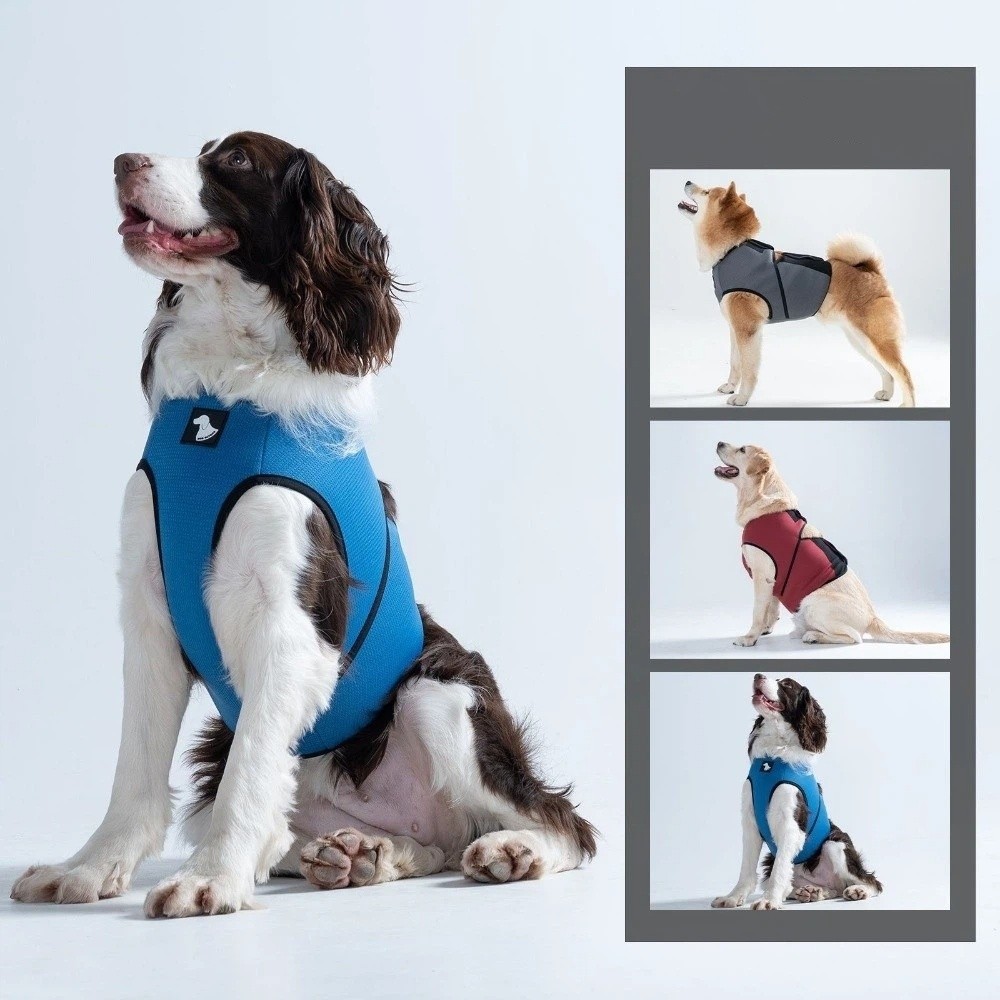 سترة تهدئة للكلاب قابلة للتنفس - مراجعة Dog Anxiety Vest وسعره