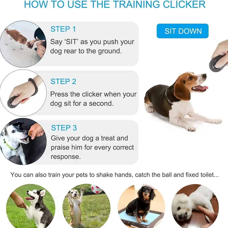 جهاز تدريب الكلاب 2 في 1 مع زر - مراجعة Training Clicker Dog وسعره