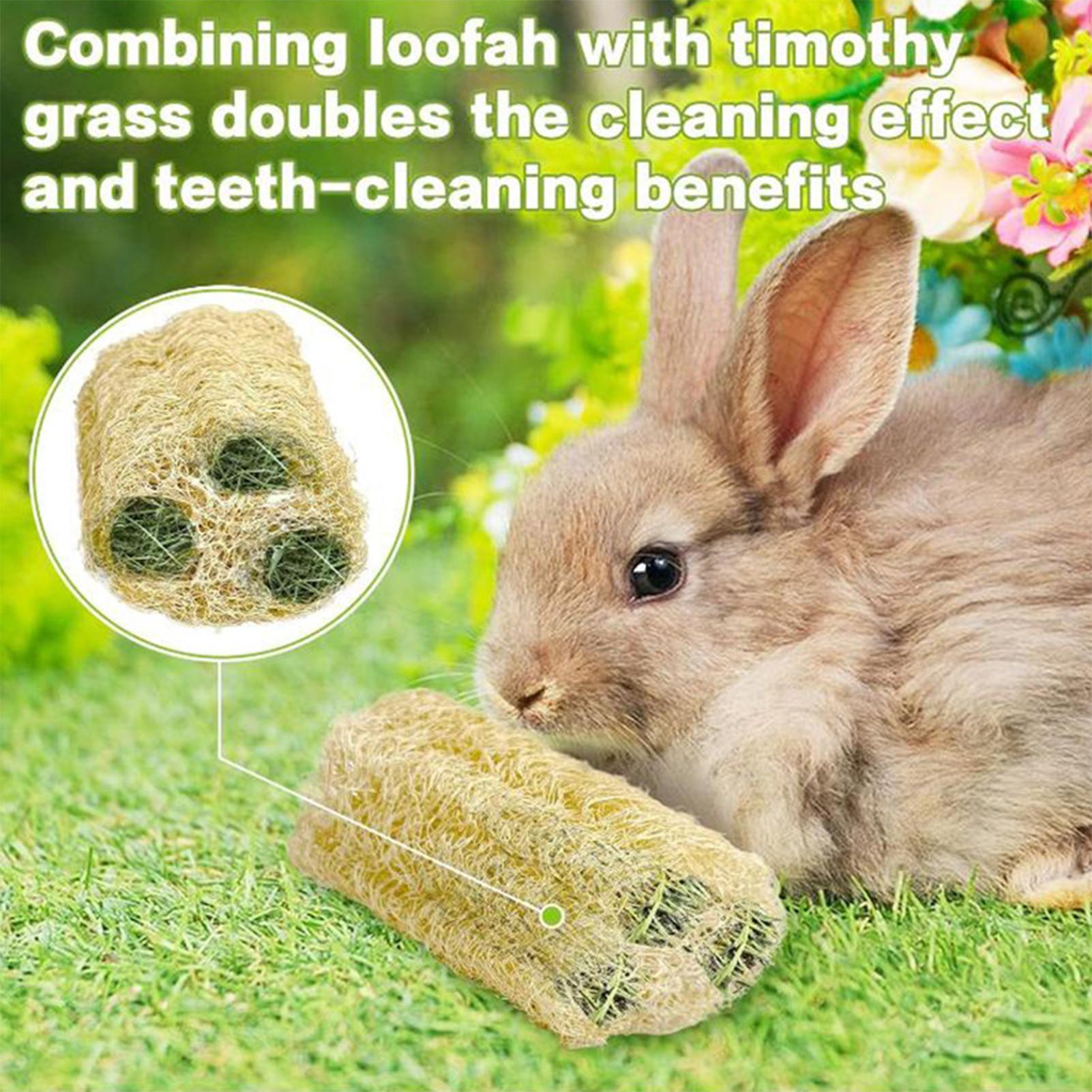 مضغ اللعب للأرانب 4 قطع اللوف  - مراجعة Pet Supplies Pet Shop وسعره