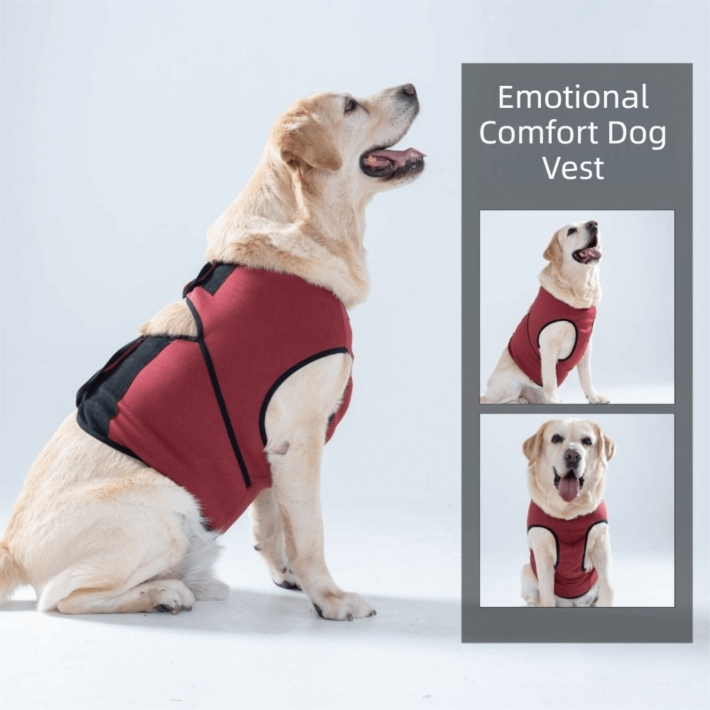 سترة تهدئة عملية للكلاب قابلة  - مراجعة Dog Anxiety Vest وسعره