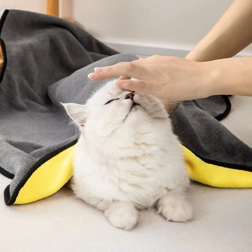E5 التجفيف السريع كلب الملحقات - مراجعة Pet Supplies Pet Shop وسعره