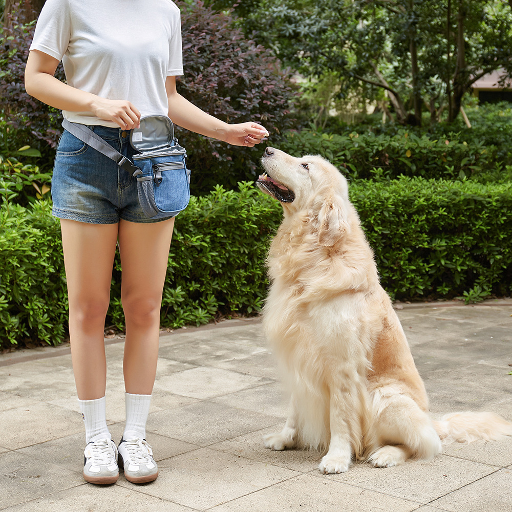 حقيبة تدريب الحيوانات الأليفة  - مراجعة Pet Supplies Is Food وسعره