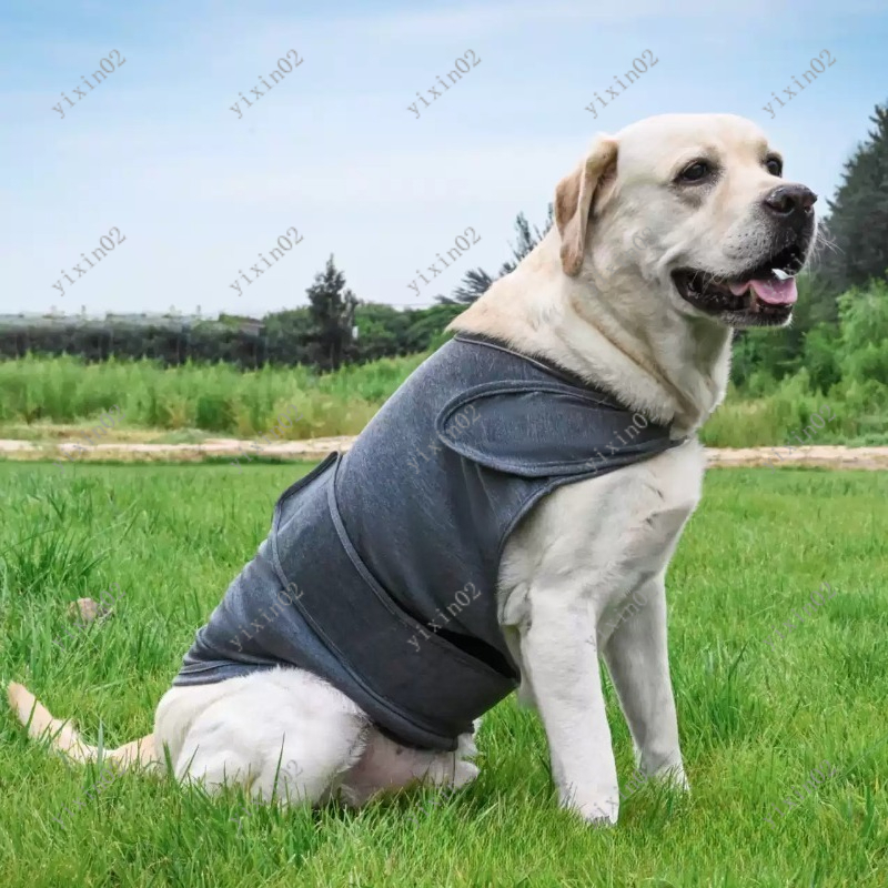 سترة تهدئة كلاسيكية للكلاب قاب - مراجعة Dog Anxiety Vest وسعره