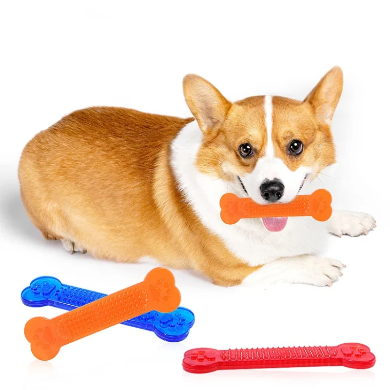 سوبر صعبة الكلب العظام مضغ لعب - مراجعة Training Clicker Dog وسعره