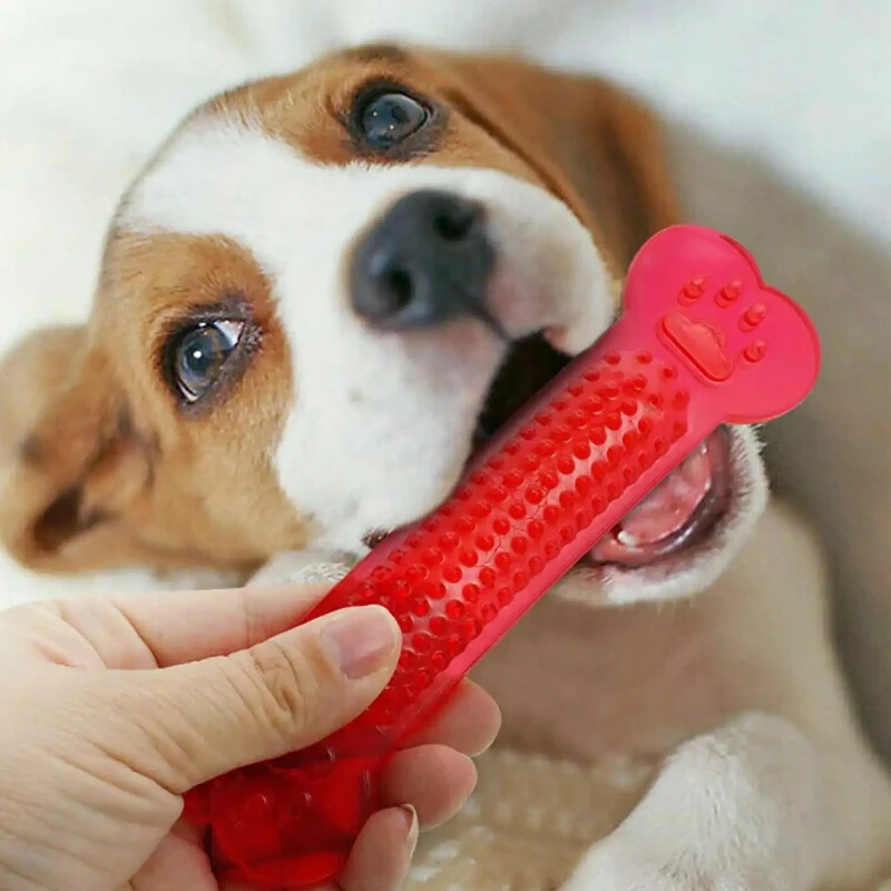سوبر صعبة الكلب العظام مضغ لعب - مراجعة Training Clicker Dog وسعره