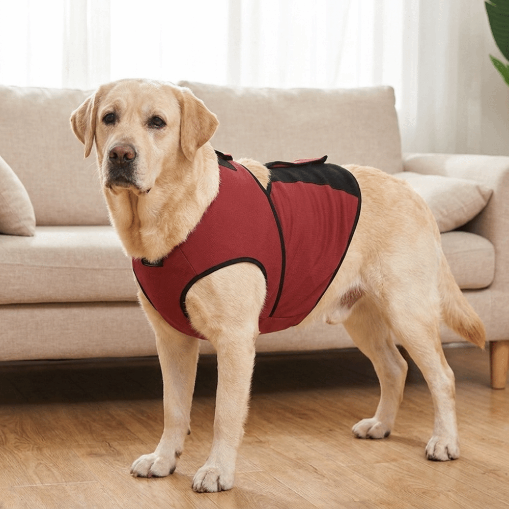 سترة تهدئة عملية للكلاب قابلة  - مراجعة Dog Anxiety Vest وسعره