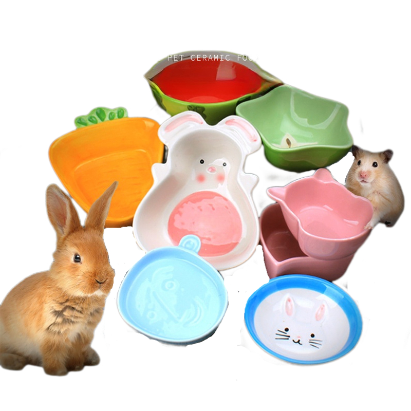 1 قطعة وعاء تغذية الهامستر الم - مراجعة Pet Supplies Is Food وسعره