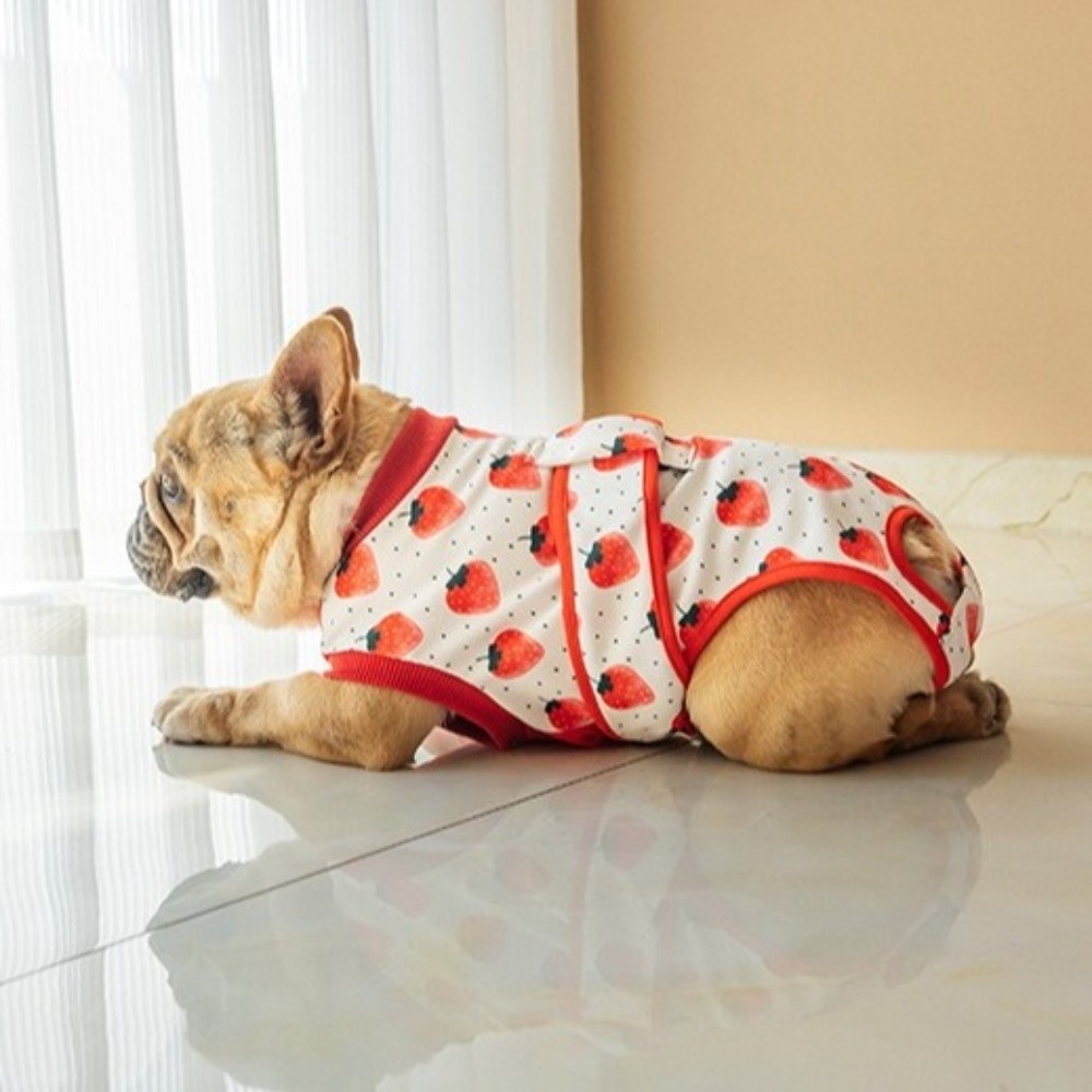 بدلة تعافي للكلاب قابلة للتنفس - مراجعة Dog Anxiety Vest وسعره