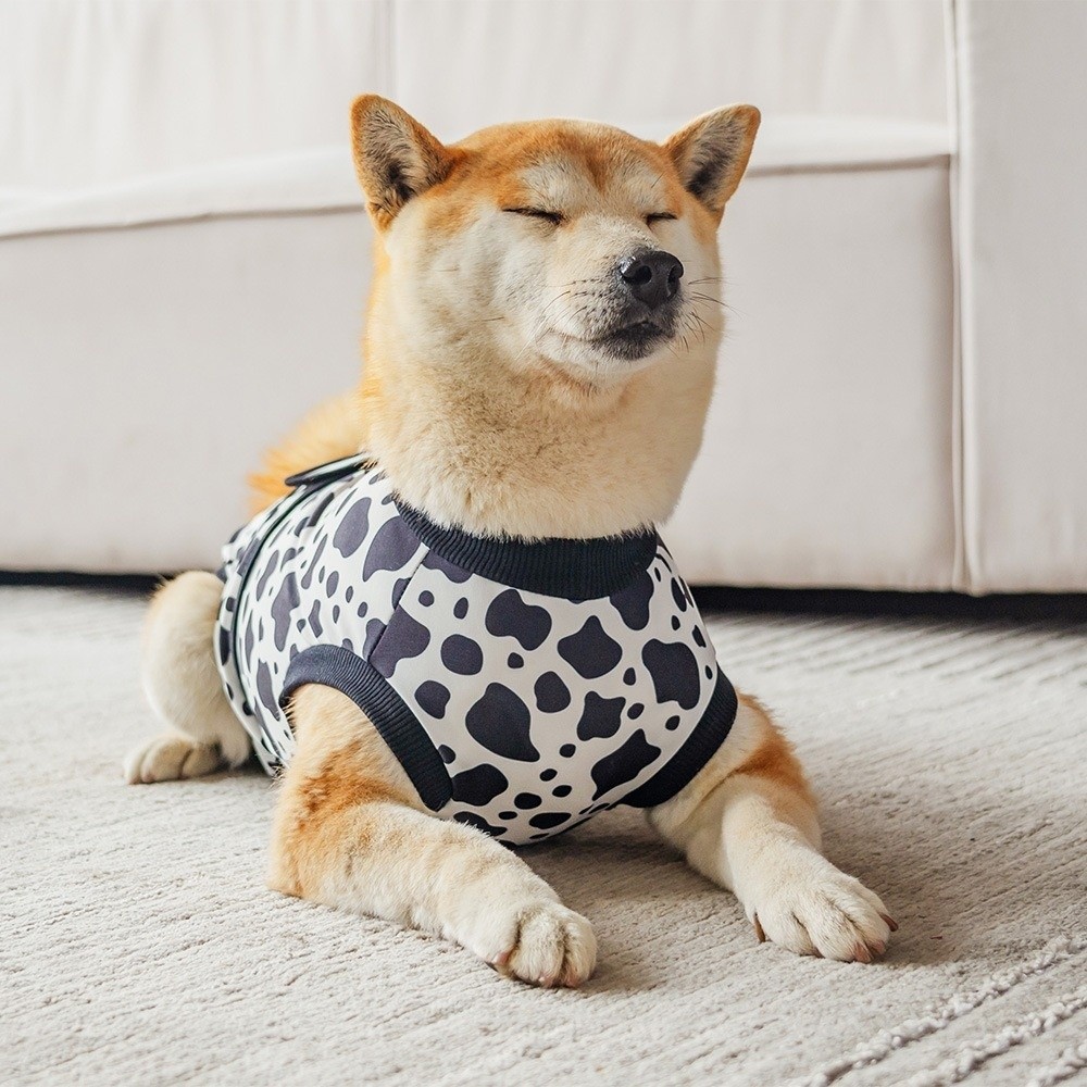بدلة تعافي للكلاب قابلة للتنفس - مراجعة Dog Anxiety Vest وسعره
