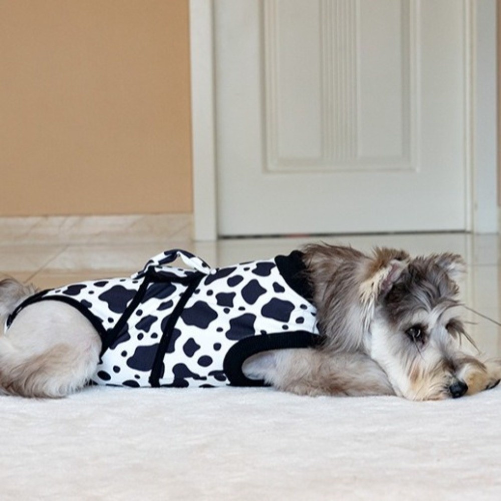 بدلة تعافي للكلاب قابلة للتنفس - مراجعة Dog Anxiety Vest وسعره