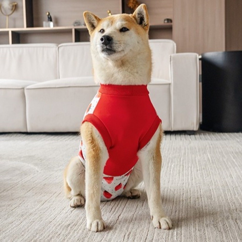 بدلة تعافي للكلاب قابلة للتنفس - مراجعة Dog Anxiety Vest وسعره