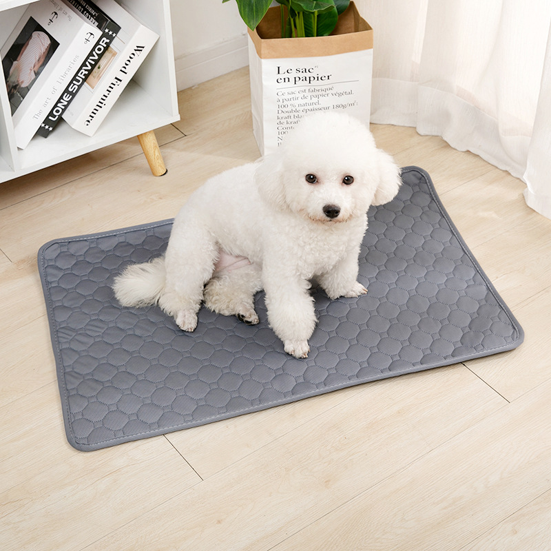 بطانية قابلة لإعادة الاستخدام  - مراجعة Pet Supplies Dog Wash وسعره