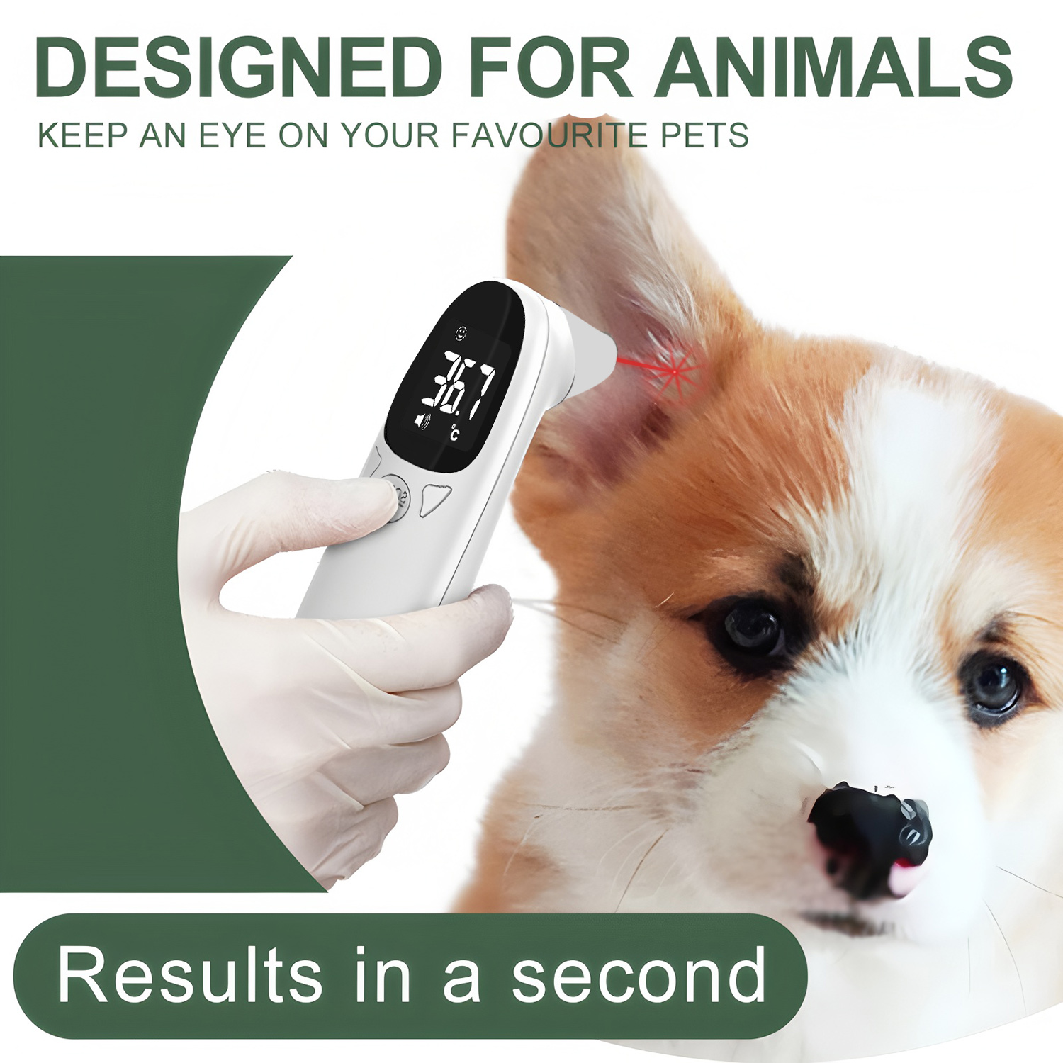 ميزان حرارة رقمي للأذن للحيوان - مراجعة Pet Supplies Warehouse وسعره