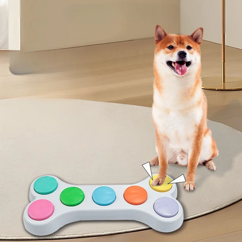 زر تسجيل الصوت، آلة صوتية متكا - مراجعة Training Clicker Dog وسعره
