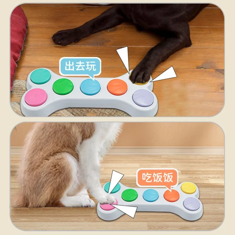 زر تسجيل الصوت، آلة صوتية متكا - مراجعة Training Clicker Dog وسعره