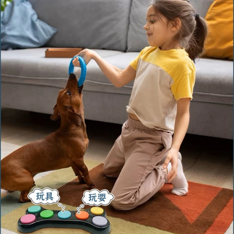 زر تسجيل الصوت، آلة صوتية متكا - مراجعة Training Clicker Dog وسعره