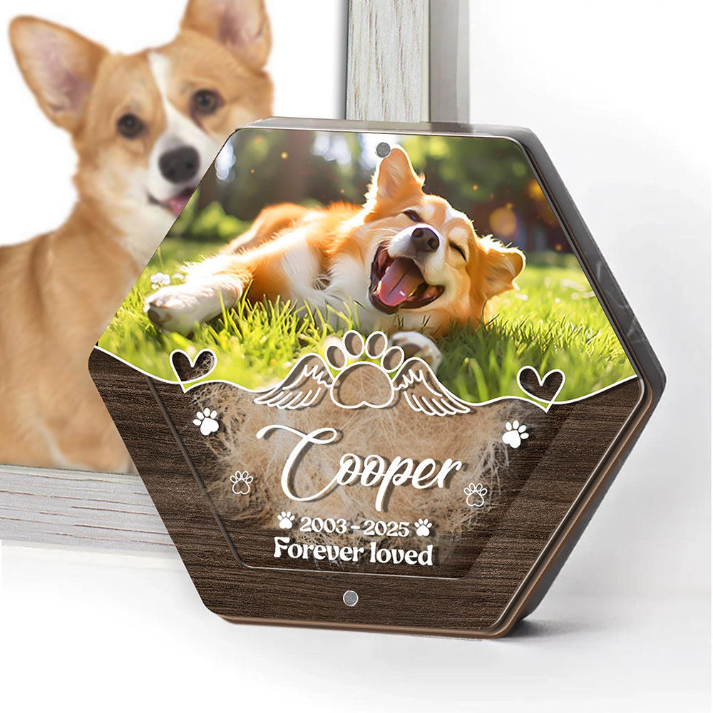 اسم شخصي خشبي نحت صندوق تخزين  - مراجعة Pet Supplies Warehouse وسعره