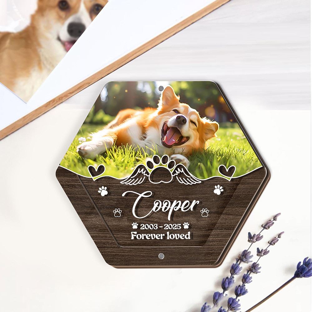 اسم شخصي خشبي نحت صندوق تخزين  - مراجعة Pet Supplies Warehouse وسعره