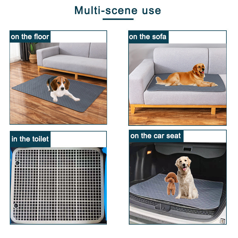 سجادة قابلة للغسل لامتصاص بول  - مراجعة Pet Supplies Dog Wash وسعره