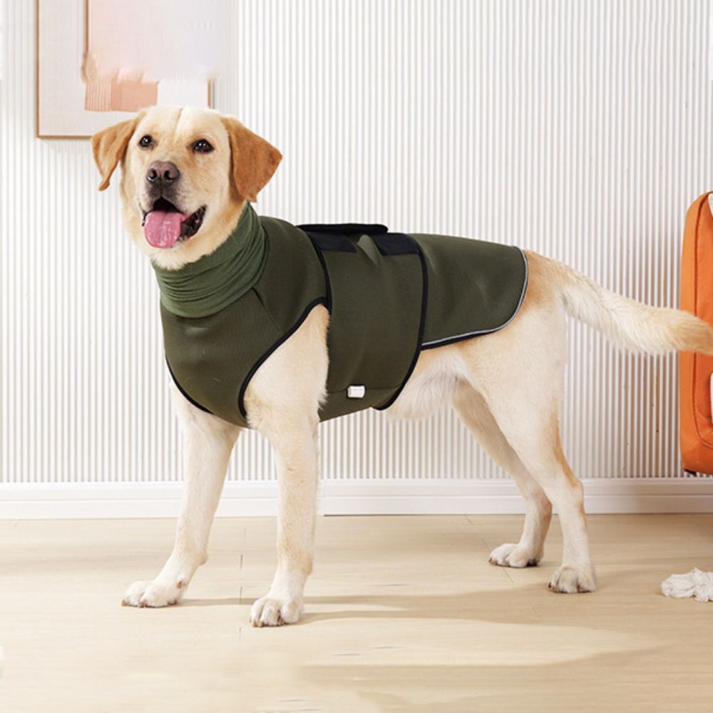 الكلب تهدئة التفاف مرونة الكلب - مراجعة Dog Anxiety Vest وسعره