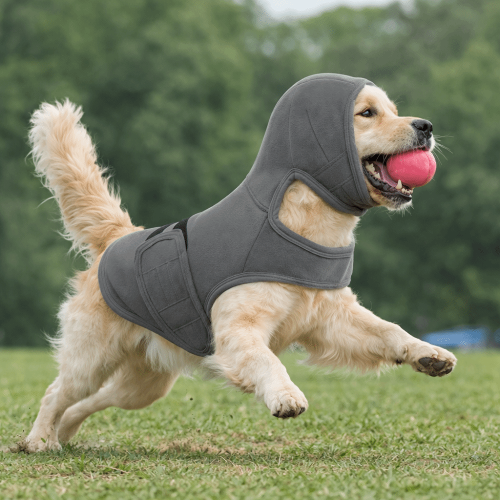 سترة مرنة مضادة للقلق للكلاب م - مراجعة Dog Anxiety Vest وسعره
