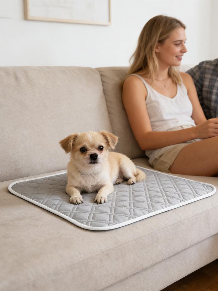 وسادة تبريد للكلاب، بساط نوم م - مراجعة Pet Supplies Dog Wash وسعره