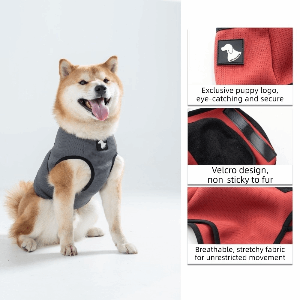 ملابس مريحة للحيوانات الأليفة، - مراجعة Dog Anxiety Vest وسعره