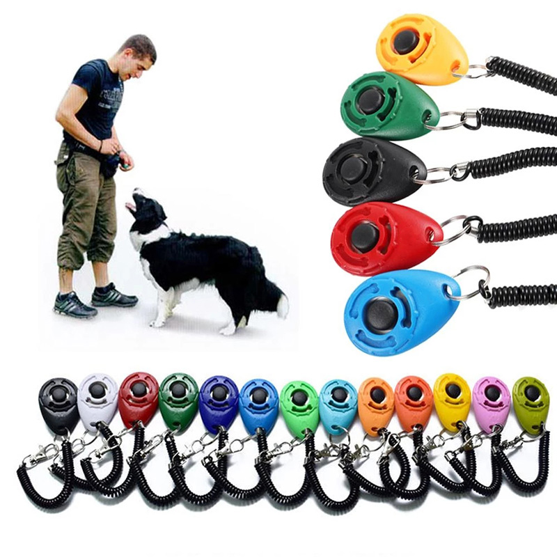 جهاز تدريب الحيوانات الأليفة ق - مراجعة Training Clicker Dog وسعره