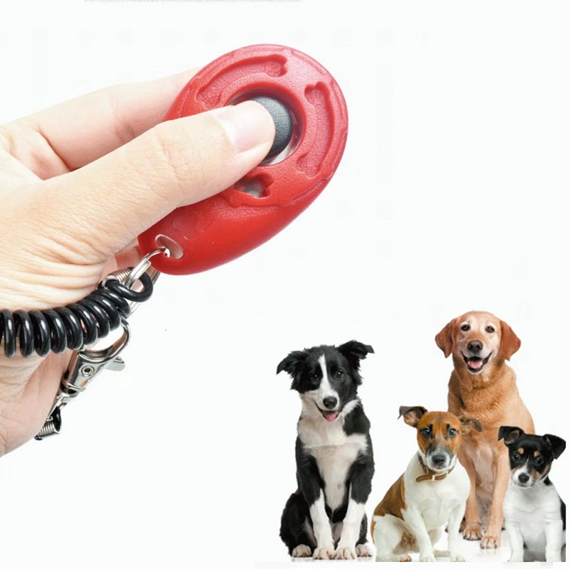 جهاز تدريب الحيوانات الأليفة ق - مراجعة Training Clicker Dog وسعره
