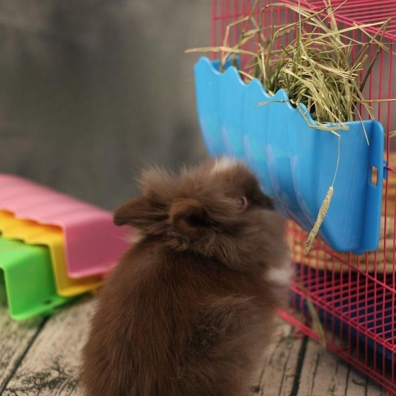 شنقا البلاستيك تغذية القش أرنب - مراجعة Pet Supplies Is Food وسعره