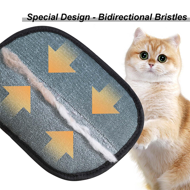 قفاز جديد للعناية بالحيوانات ا - مراجعة Pet Supplies Warehouse وسعره