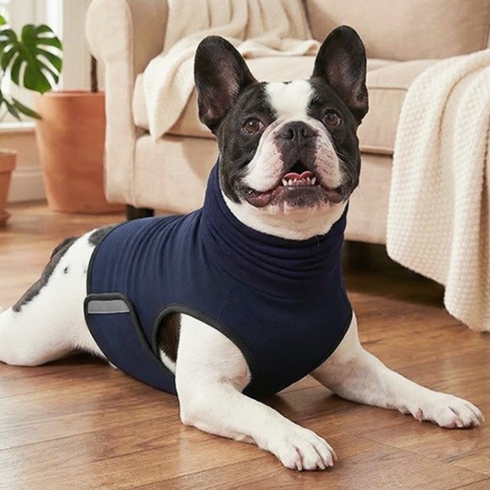 سترة مضادة للقلق للكلاب عازلة  - مراجعة Dog Anxiety Vest وسعره