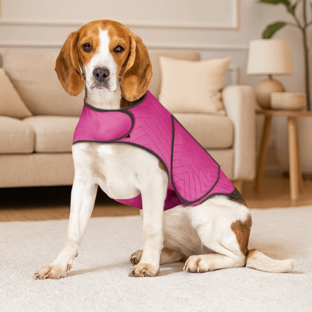 سترة عملية مرنة لتهدئة القلق ل - مراجعة Dog Anxiety Vest وسعره