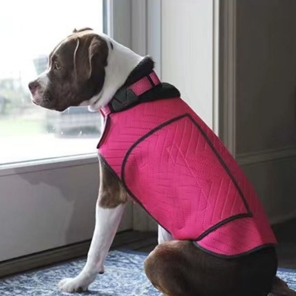 سترة عملية مرنة لتهدئة القلق ل - مراجعة Dog Anxiety Vest وسعره