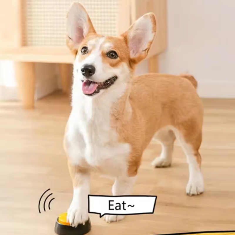 أزرار اتصال الكلاب، زر تسجيل ص - مراجعة Training Clicker Dog وسعره
