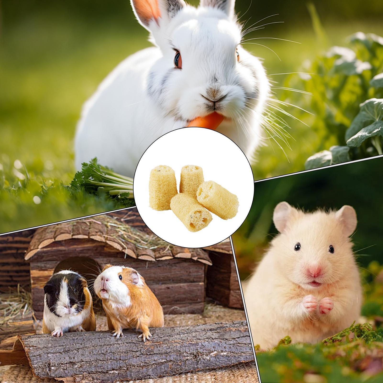 مضغ اللعب للأرانب 4 قطع اللوف  - مراجعة Pet Supplies Pet Shop وسعره
