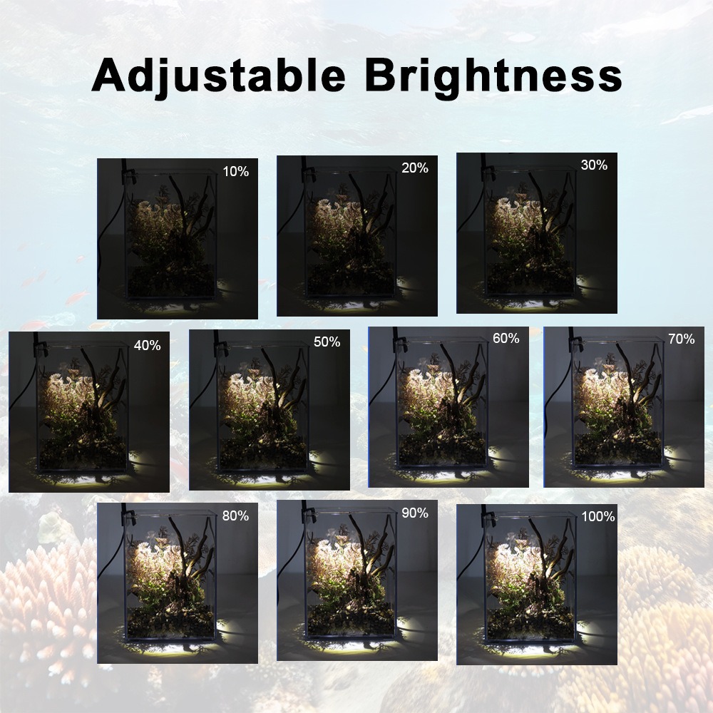 مصباح LED فائق النحافة لإضاءة  - مراجعة Pet Supplies Pet Shop وسعره