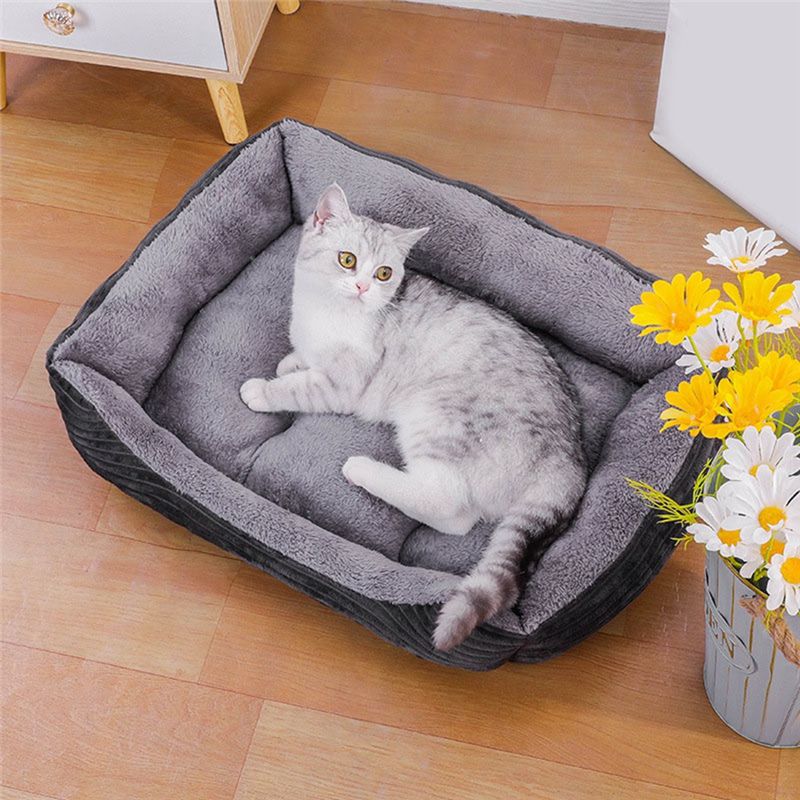سرير كلاب رمادي AEA9، فراش مرب - مراجعة Pet X Supplies & Tack Reviews وسعره