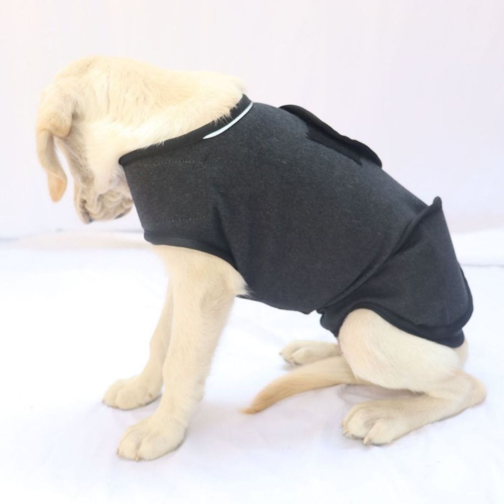 الحيوانات الأليفة سترة دافئة ت - مراجعة Dog Anxiety Vest وسعره