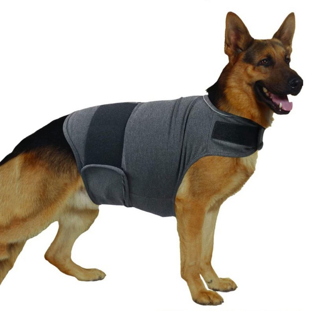 الحيوانات الأليفة سترة دافئة ت - مراجعة Dog Anxiety Vest وسعره